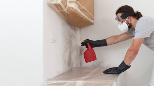 Professional Crawl Space Mold Remediation technician working in Wellesley, MA