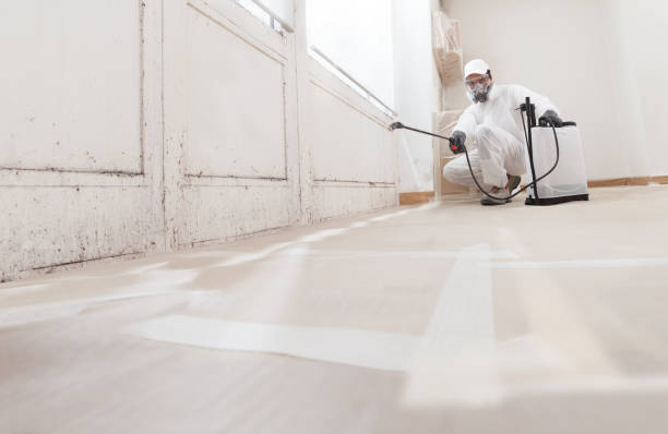 24/7 Emergency Crawl Space Mold Remediation experts in Wellesley, MA