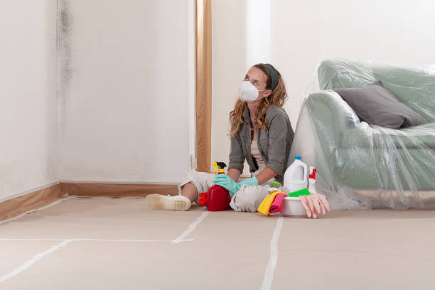 Reliable Crawl Space Mold Remediation contractor in Wellesley, MA by Car Mold Remediation